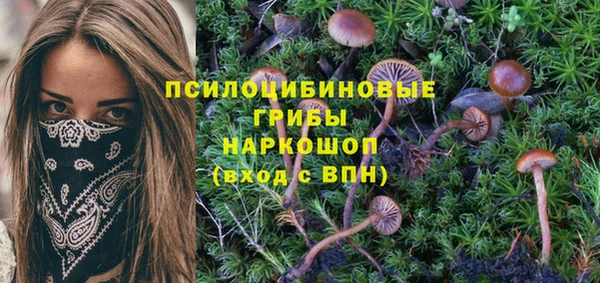 mdpv Арсеньев