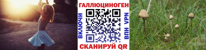 Купить закладки  Любань  Галлюциногенные грибы Magic Shrooms 